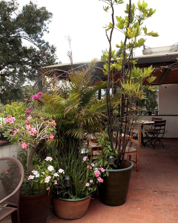 Hotel La Cochinilla Hotel Boutique